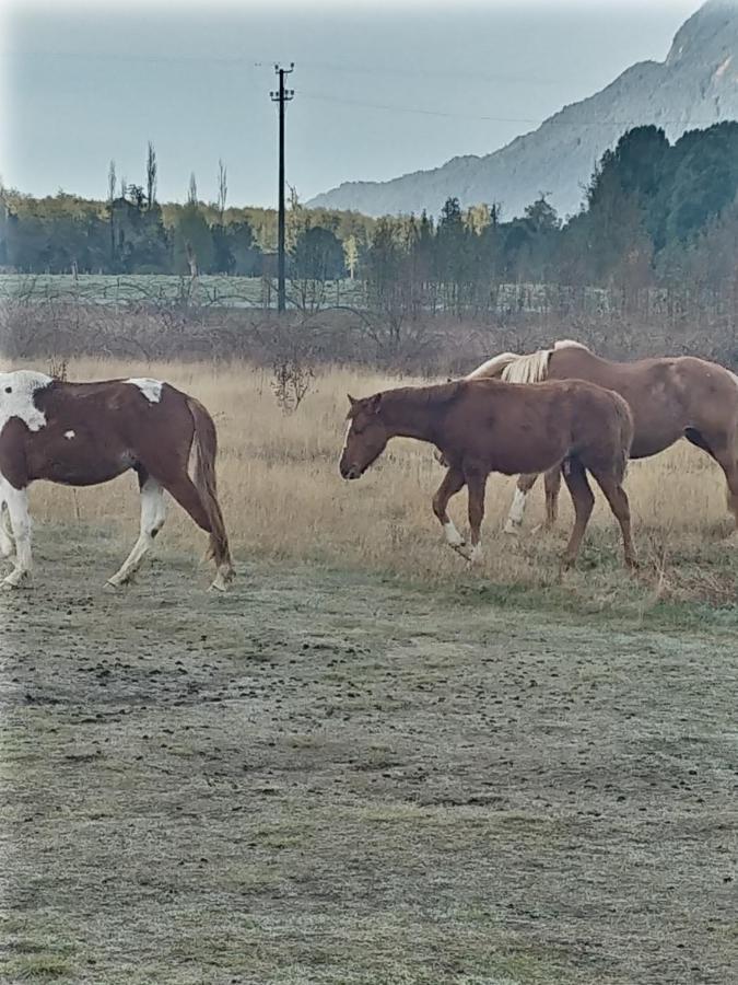 Chalé Parque Chaqueihua *