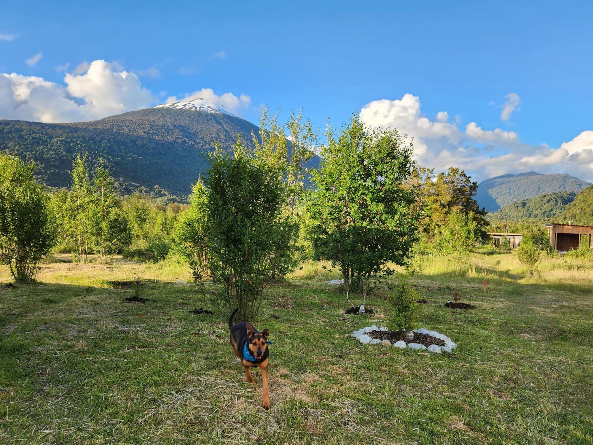 Parque Chaqueihua Hornopirén