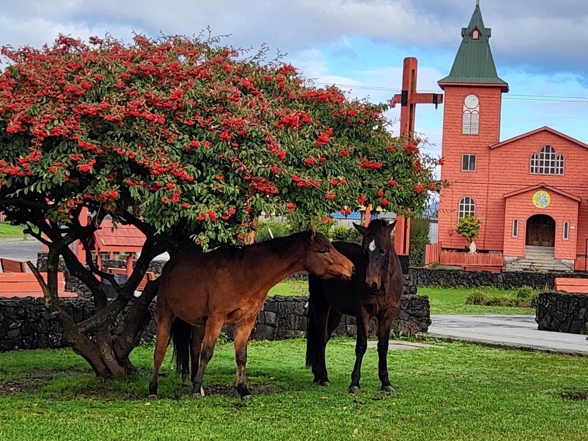 Parque Chaqueihua *